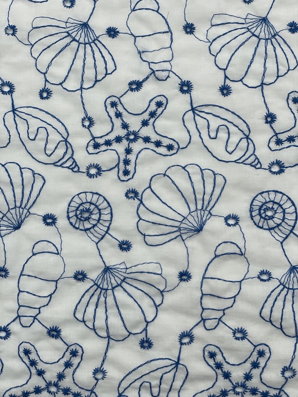 Sea life